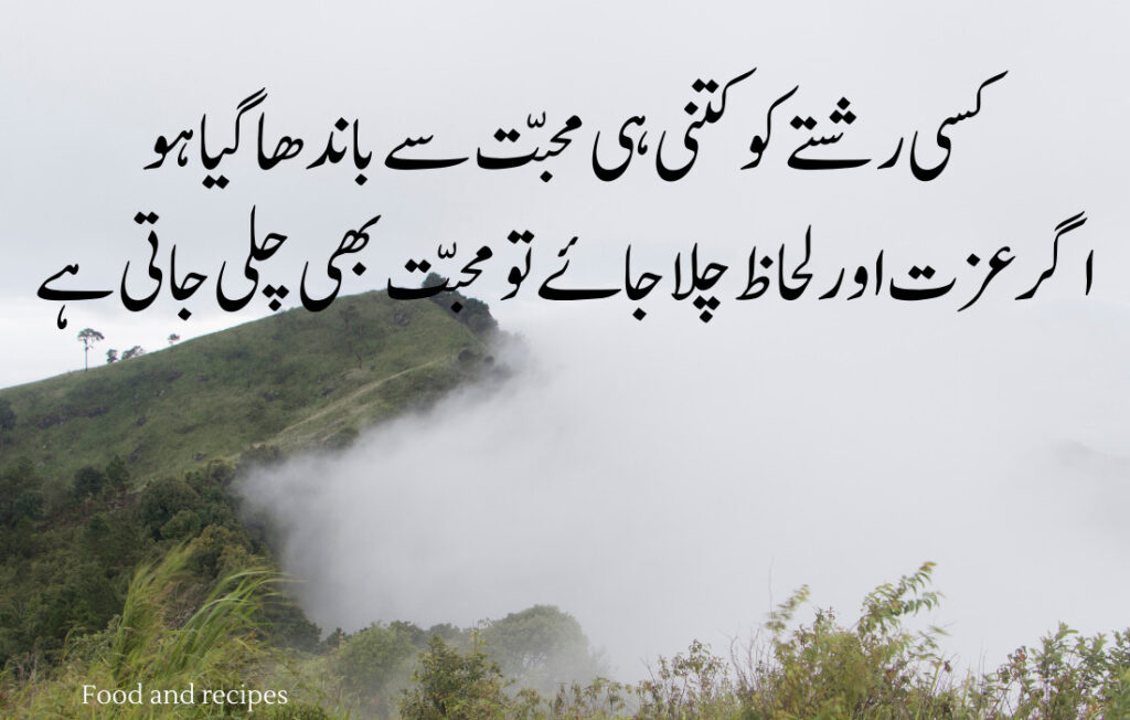 Amazing Quotes Urdu 2