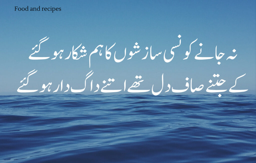 Amazing Quotes Urdu 19