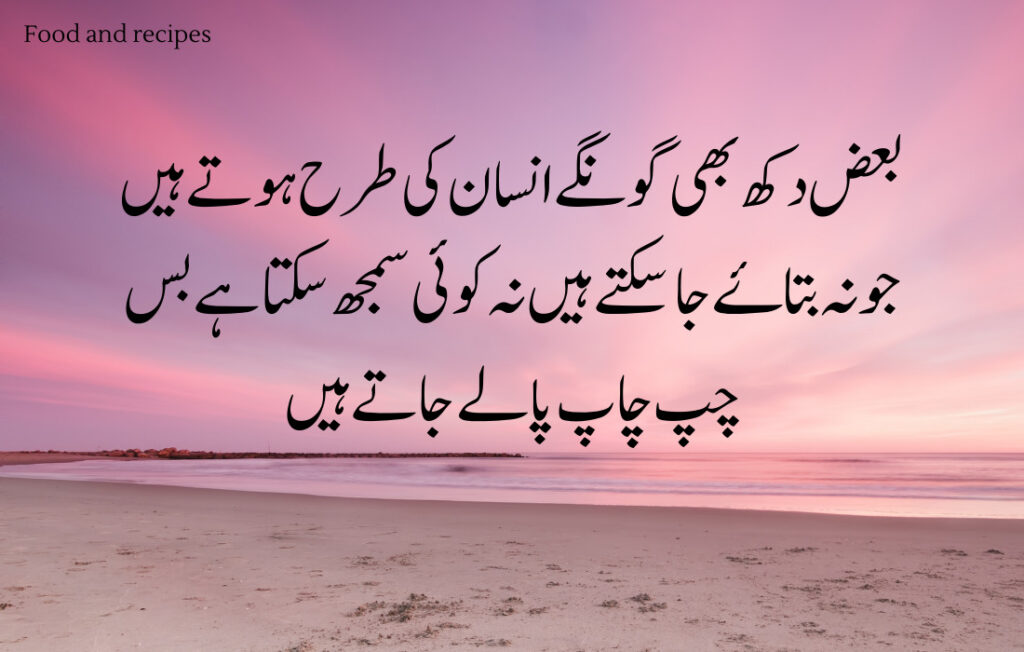 Amazing Quotes Urdu 20